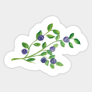 Blueberries - delicious harbinger of late summer Sticker